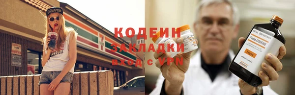 гашик Балахна