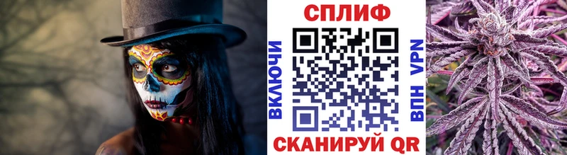 Канабис сатива Салаир